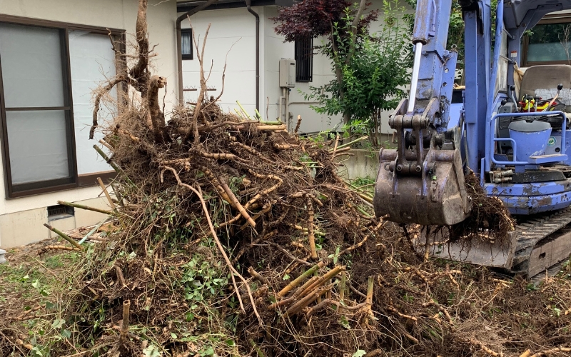 竹の伐採、抜根作業