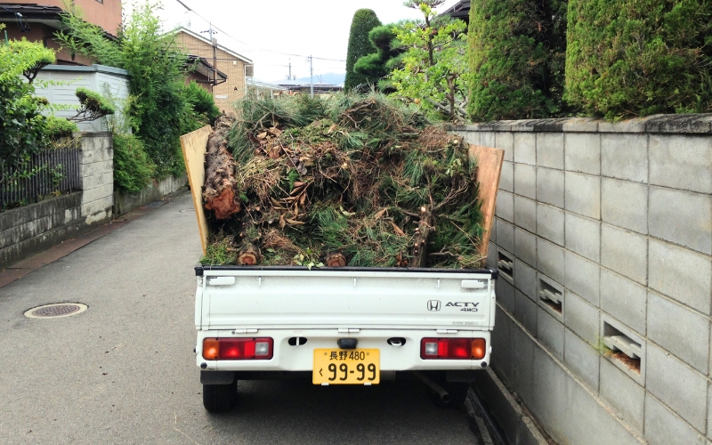 剪定後の枝葉の処分もお任せください