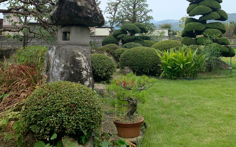 植木の刈り込み